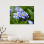Delicate vergeet me niet bloemen poster (Keuken)