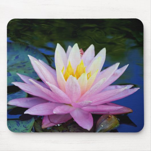 Delicate Waterlily Mousepad Muismat (Voorkant)
