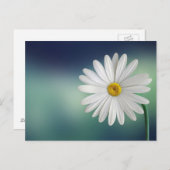 Delicate White Daisy Briefkaart (Voorkant / Achterkant)
