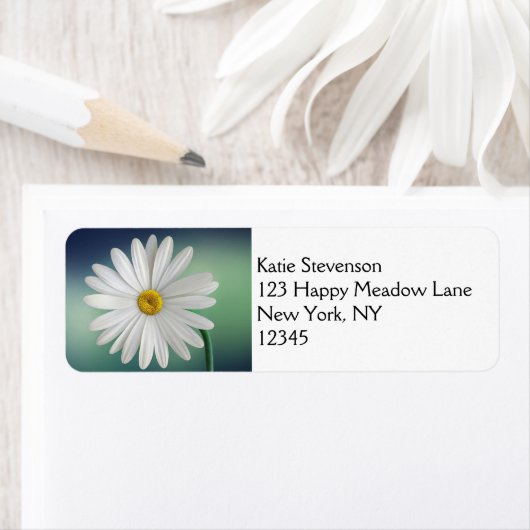 Delicate White Daisy Etiket (Insitu)