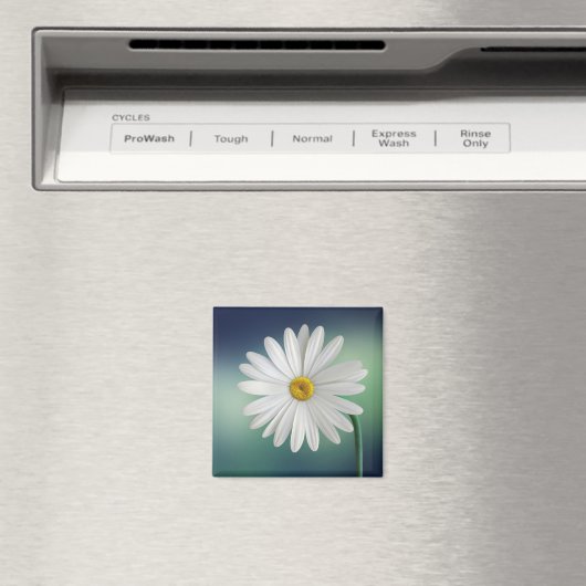 Delicate White Daisy Magneet (Insitu (Vaatwasser))