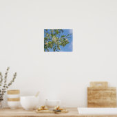 Delicate White Locust Flower Blossom Blue Sky Poster (Keuken)