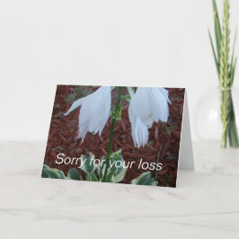 Delicate witte Sun Hosta bloemen op een condoleanc Kaart
