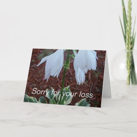 Delicate witte Sun Hosta bloemen op een condoleanc Kaart (Voorkant)