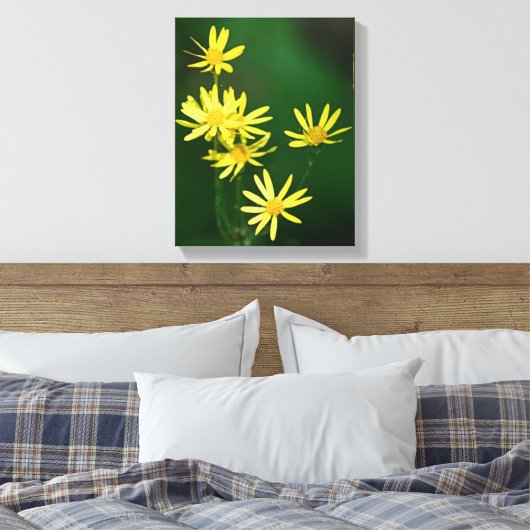 Delicate Yellow Daisy Wildbloemen Canvas Afdruk (Insitu (Slaapkamer))