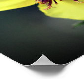 Delicate Yellow Wilde Poster (Hoek)