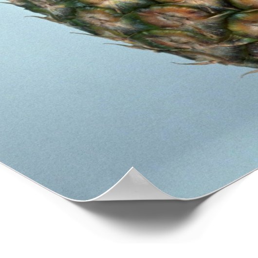 Delicious ananas poster (Hoek)