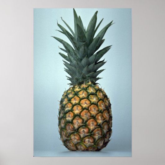 Delicious ananas poster (Voorkant)