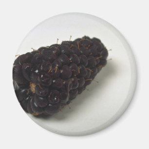Delicious Blackberry Magneet