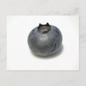 Delicious Blueberry Briefkaart (Voorkant)