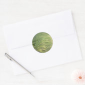 Delicious Cabbage Ronde Sticker (Envelop)