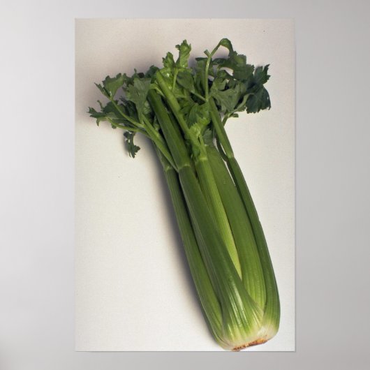 Delicious Celery stalk Poster (Voorkant)