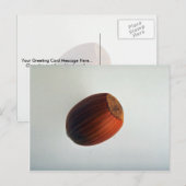 Delicious Filbert Briefkaart (Voorkant / Achterkant)