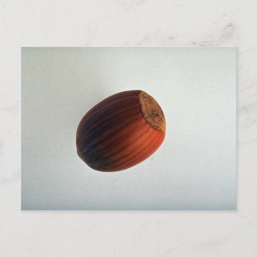 Delicious Filbert Briefkaart (Voorkant)