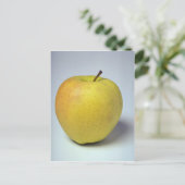 Delicious Golden Delicious appel Briefkaart (Staand voorkant)