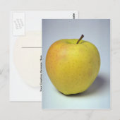 Delicious Golden Delicious appel Briefkaart (Voorkant / Achterkant)