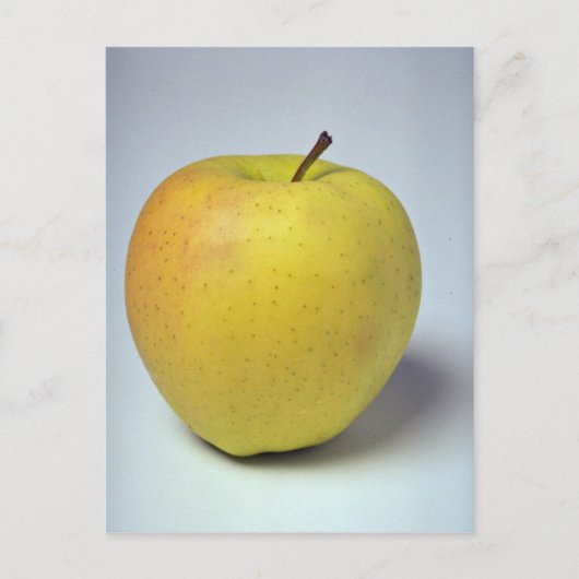Delicious Golden Delicious appel Briefkaart (Voorkant)