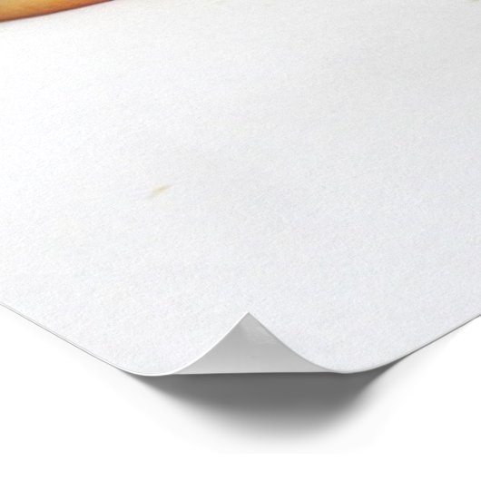 Delicious Ham & Cheese Sub Sandwich Poster (Hoek)