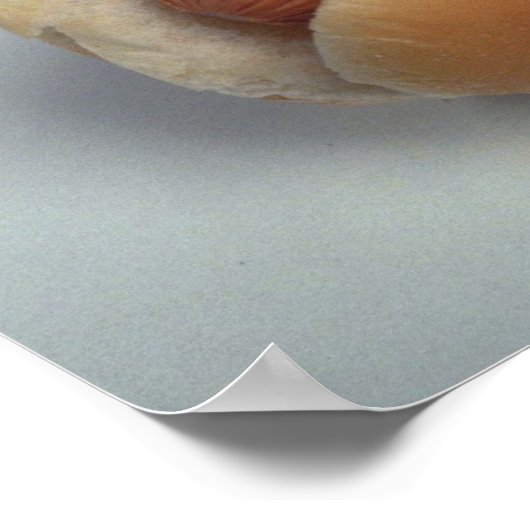 Delicious hotdog poster (Hoek)