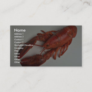 Delicious Lobster Visitekaartje