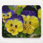 Delicious Muismat (Voorkant)