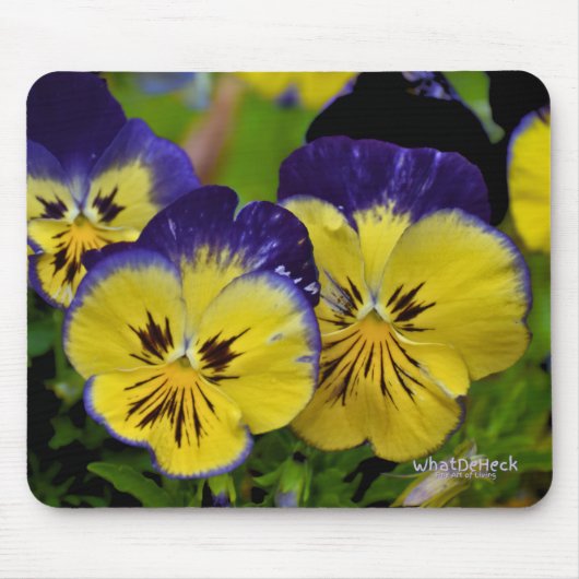 Delicious Muismat (Voorkant)