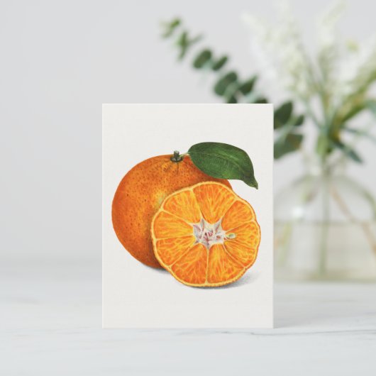 Delicious Oranje tangerinevruchten Briefkaart (Staand voorkant)