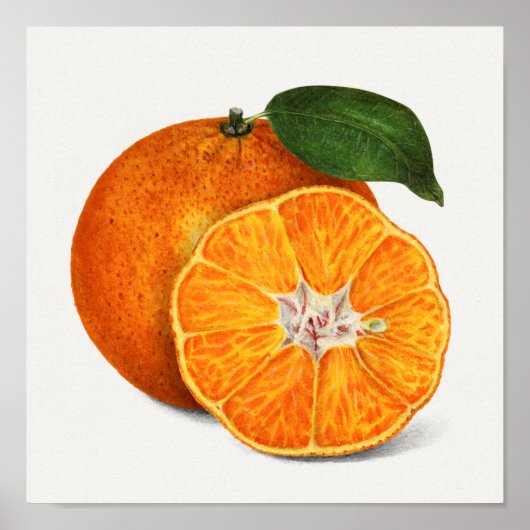 Delicious Oranje tangerinevruchten Poster (Voorkant)