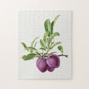 Delicious Paarse plum in een vertakking die schild Legpuzzel