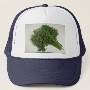 Delicious Parsley Trucker Pet