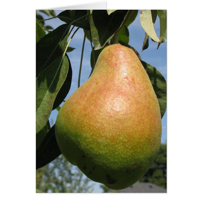 Delicious Pear (Voorkant)