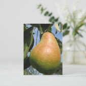 Delicious Pear Briefkaart (Staand voorkant)