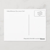 Delicious Pear Briefkaart (Achterkant)