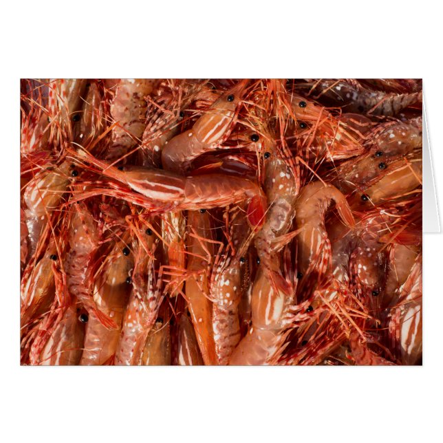 Delicious Prawns (Voorkant Horizontaal)