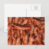 Delicious Prawns Briefkaart (Voorkant / Achterkant)