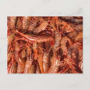 Delicious Prawns Briefkaart