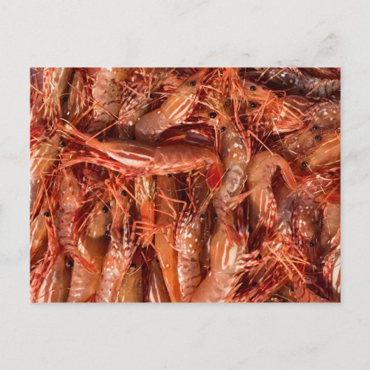 Delicious Prawns Briefkaart (Voorkant)