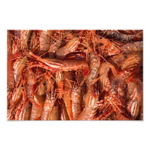 Delicious Prawns Foto Afdruk