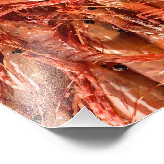 Delicious Prawns Foto Afdruk (Hoek)