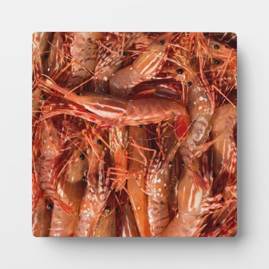 Delicious Prawns Fotoplaat (Voorkant)