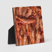 Delicious Prawns Fotoplaat (Voorkant)