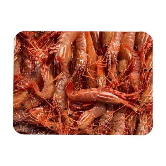 Delicious Prawns Magneet (Horizontaal)