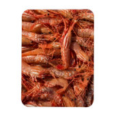 Delicious Prawns Magneet (Verticaal)