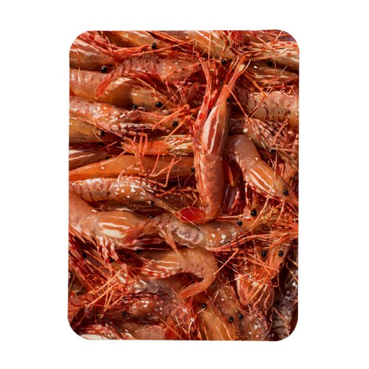 Delicious Prawns Magneet (Verticaal)
