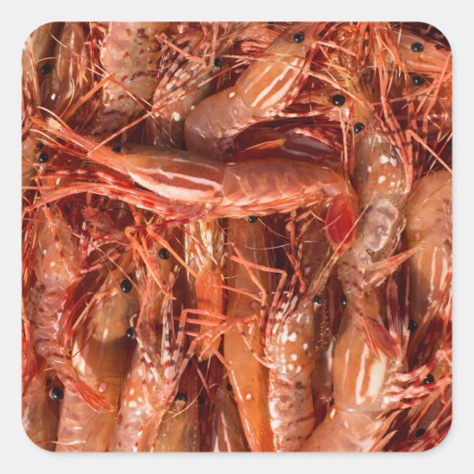 Delicious Prawns Vierkante Sticker (Voorkant)