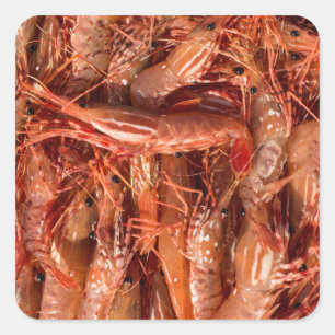 Delicious Prawns Vierkante Sticker