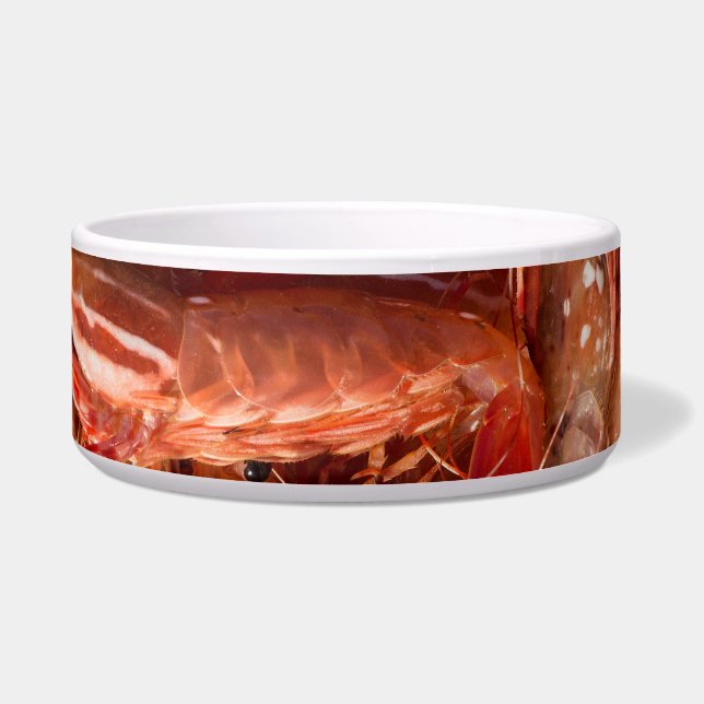 Delicious Prawns Voerbakje (Voorkant)