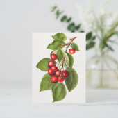 Delicious Red Cherries Fruit Waterverf Painting Briefkaart (Staand voorkant)