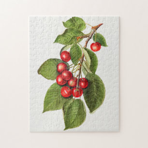 Delicious Red Cherries Fruit Waterverf Painting Legpuzzel