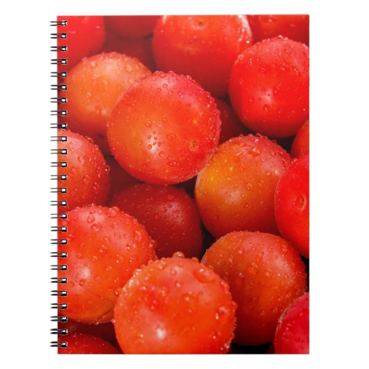 Delicious red cherry-plumbackground, bowl, cherry; notitieboek (Voorkant)